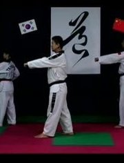 2014跆拳道基础教学-视频在线观看-008shuai-