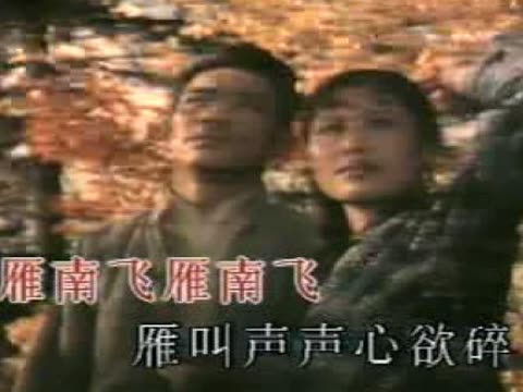 电影歌曲《雁南飞》(带歌词纸\/