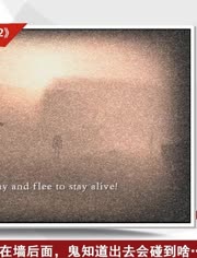 玩恐怖游戏-爱奇艺